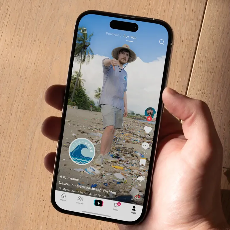 TeamSeas case study